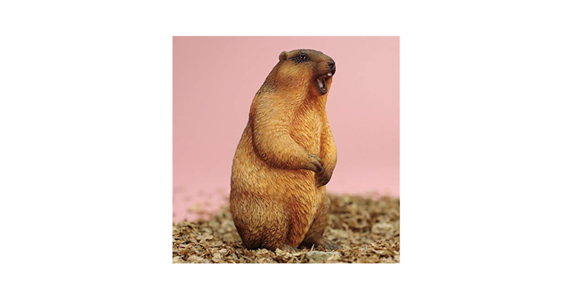 【美品】マーモット　Marmot  ローリング ハウラー ミディアム Amazon.co.jp: Mr.Z 1/6 サイズ マーモット 動物 フィギュア