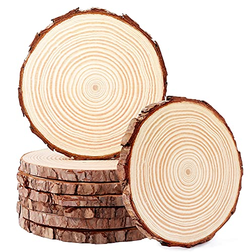 Pllieay 8Pcs 6-6.3 Inch Wood Slices, Unfinished Natural Craft Wooden Circles Tree Slice for DIY Arts and Craft Natural Wedding Holidays Ornaments