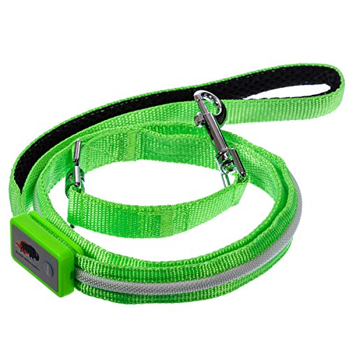 Blazin' Safety Led Dog Leash - Usb Rechargeable Flashing Light, 4 Ft, Water Resistant – Lightweight (S, Green) #TOP2