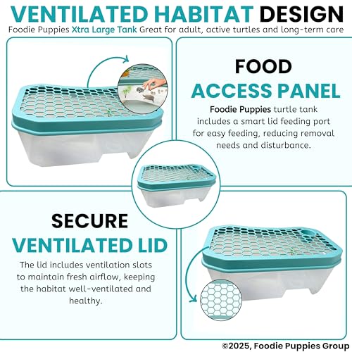 Image of Foodie Puppies Turtle Tank Aquarium - (XL, Honeycomb Tank) (72x42x26cm) with Lid and Ramp | Basking Platform, Swimming Area, breeding, Hibernation Area for Turtle (Color May Vary) (No Accessories)