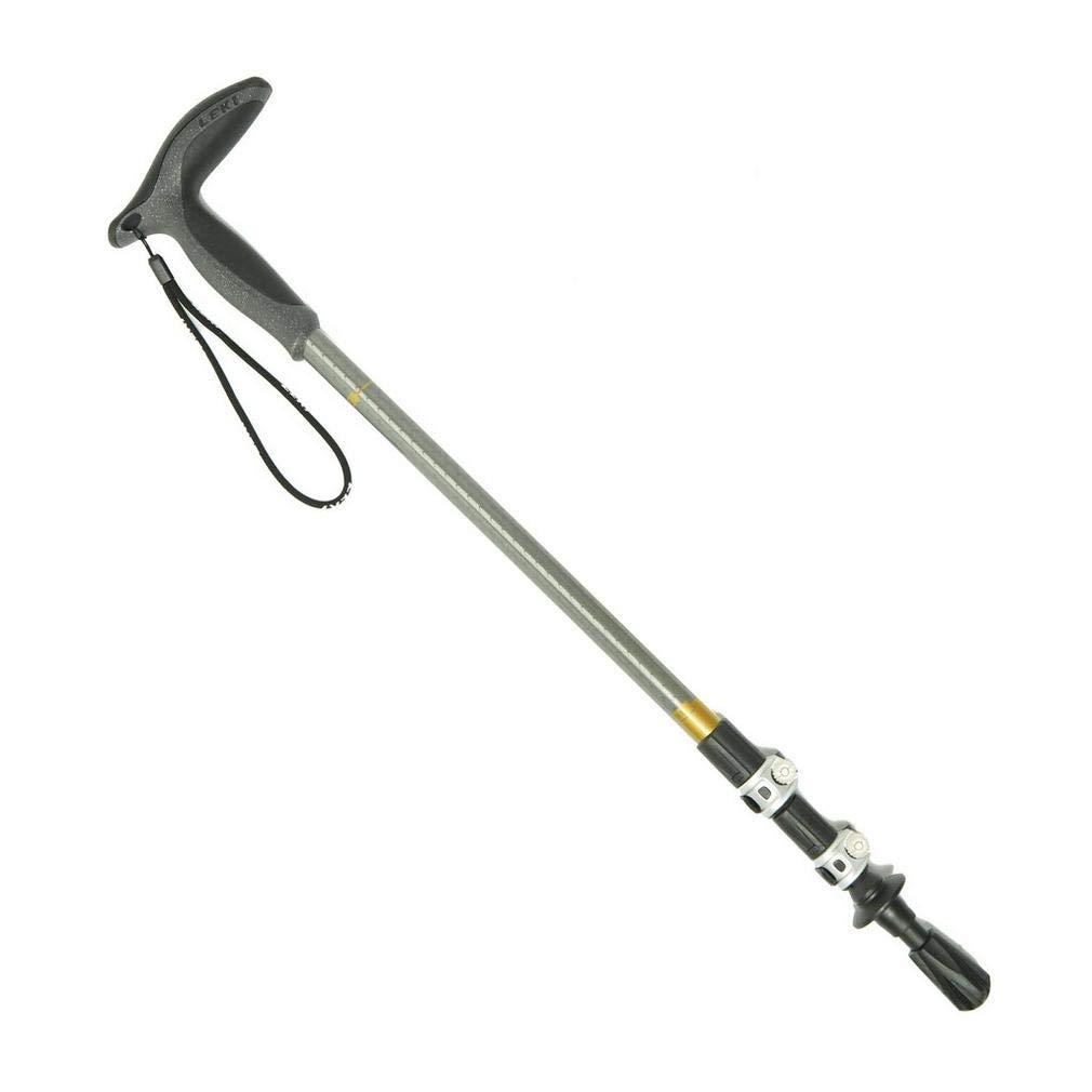 Wanderfreund Speedlock Trekking Pole