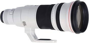 Amazon.com : Canon EF 500mm f/4L is II USM Lens (Renewed