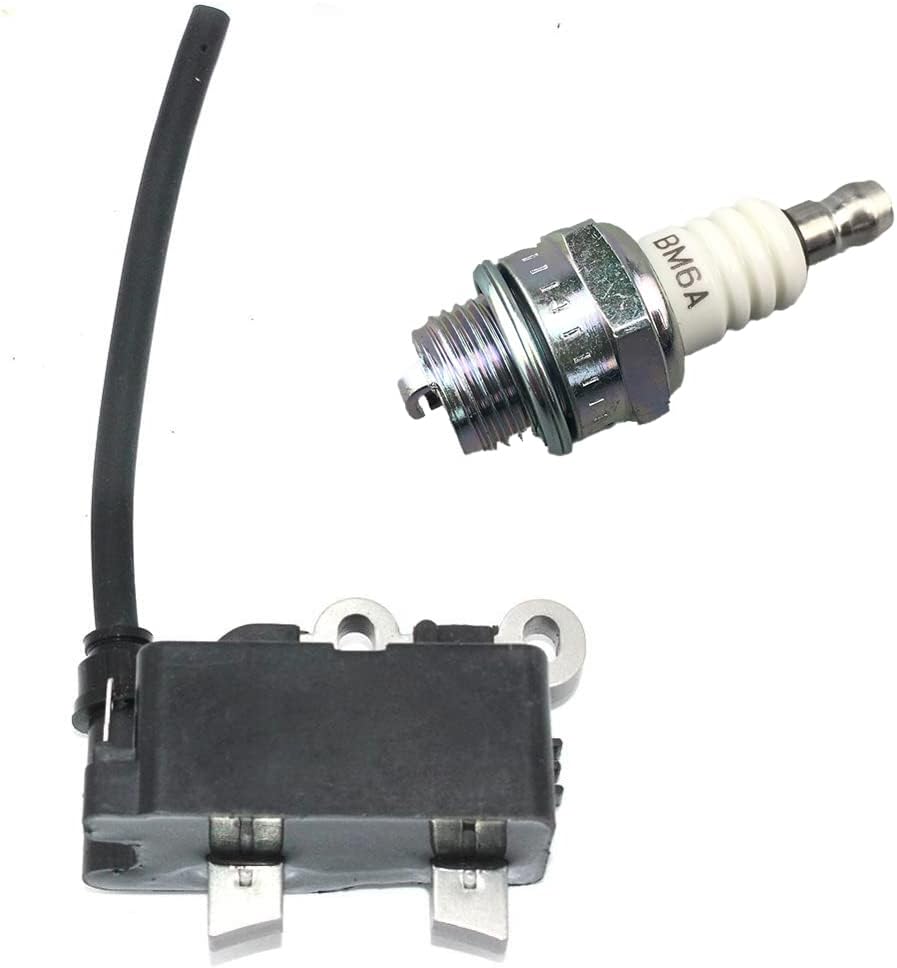 Realman 290178032 Ignition Coil Module with BM6A