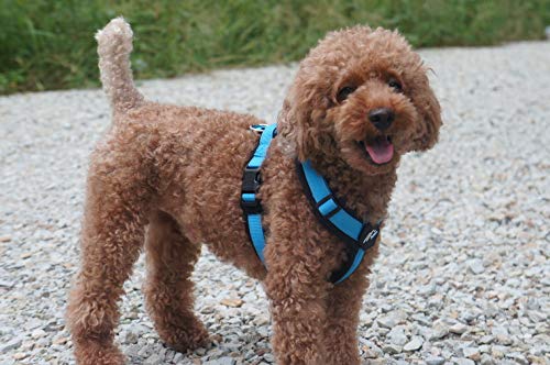 The Worthy Dog Sidekick Harness with Comfy Padded Mesh Velcro Adjustable, Outdoor, Easy Walk Vest - Medium, Red