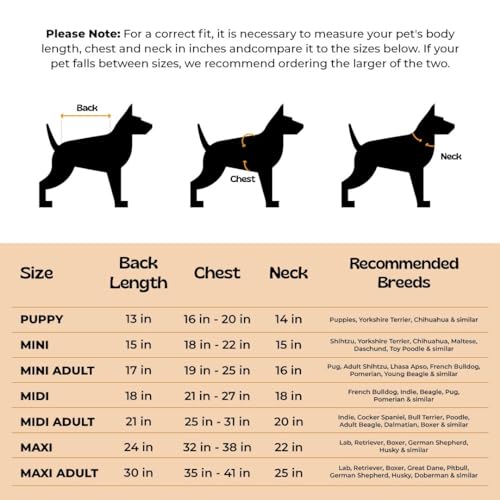 Image of Waterproof Dog Raincoat with Hood | Double Coloured Blue-Green | Adjustable Velcro | Extra Coverage | Easy to Carry Pouch | for Small, Medium and Large Breed Dogs (Puppy (M))