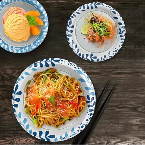 Ultra Dinner Paper Plates, 10 inches, 204 Count (204 Count)