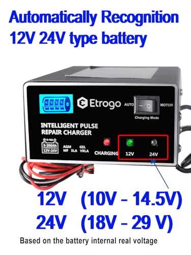 Etrogo Caricabatteria al Piombo Automatico 12V 24V 10A Caricabatterie Rapido Caricabatterie a Impulsi con Schermo LED a Barra - 2