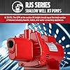 Red Lion RJS-100-PREM 1 HP, 23 GPM, 115/230 Volt, Premium Cast Iron Shallow Well Jet Pump, Red, 602208 #4