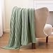 BATTILO Sage Green Throw Blanket, Fuzzy Soft Green Throw Blankets, Warm Lightweight Knit Blanket for Bed, Sofa, Spring Home Decor, 50