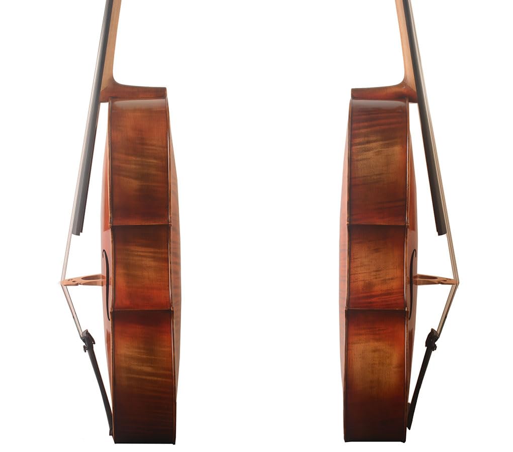 Amazon.com: Yitamusic! Handmade 4/4 Cello Fine advanced model
