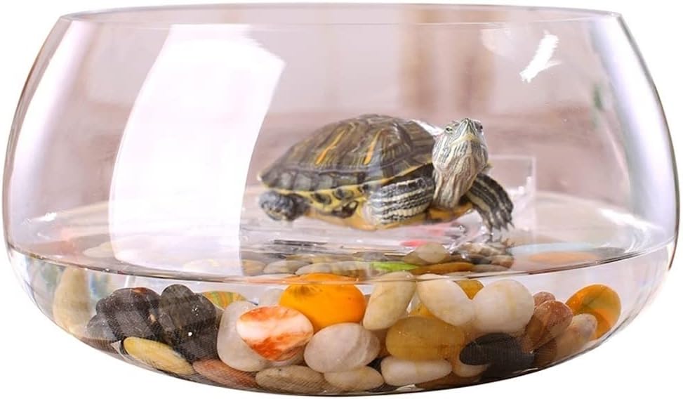 Fish Tank Creative Round Transparent Glass Fish Tank Aquarium Home Office Fish Tank Aquarium Living Room Desk Aquarium Decoration Glass Fish Tank(22cm)