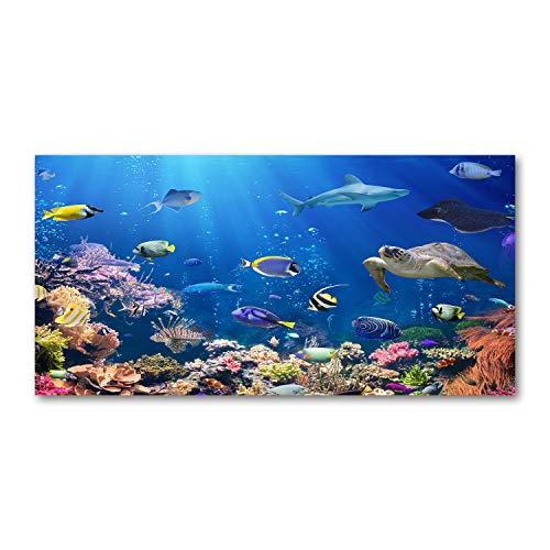 Splashback Guard Verre 100x50cm dosseret fond de hotte bleu Tulup