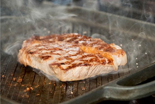 Amazon｜及源 南部鉄器 グリルパン プレート 鉄板 IH対応 CA31S