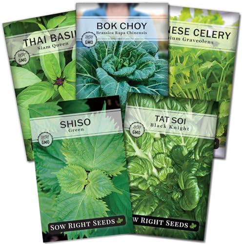 Sow Right Seeds - Asian Greens Seed Collection for Planting - Includes Thai Basil Bok Choy Chinese Celery Green Shiso & Tat SOI - Non-GMO Heirloom Varieties to Plant and Grow Indoors or Outdoors