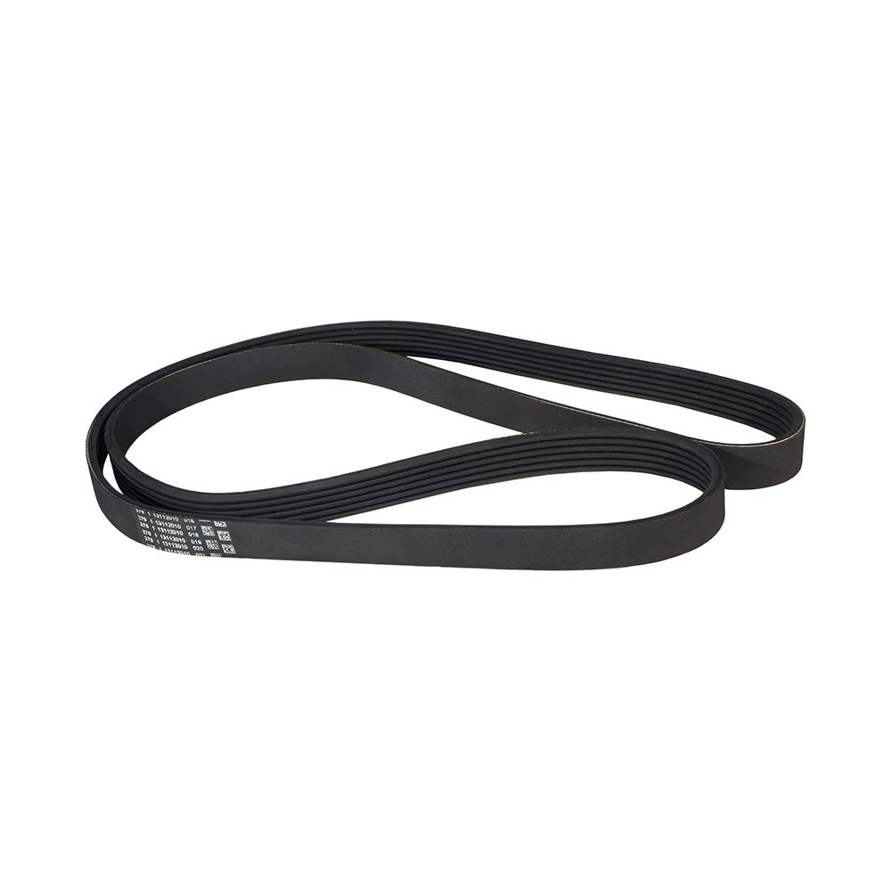 CONTITECH 6PK1600 V-Ribbed Belt