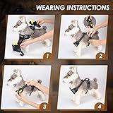 Eyein Dog Harness Large Dog, Anti Pull Adjustable Heavy Duty Pet Vest with 2 Clips, Easy Control Escape Proof Puppy Harness with Soft Padded Handle Reflective for Outdoor Training Walking, L - Image 9