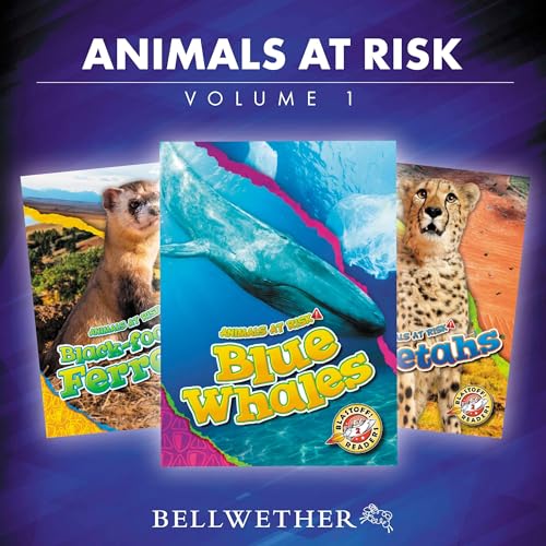 Animals at Risk, Volume 1 by Rachel Grack episode artwork