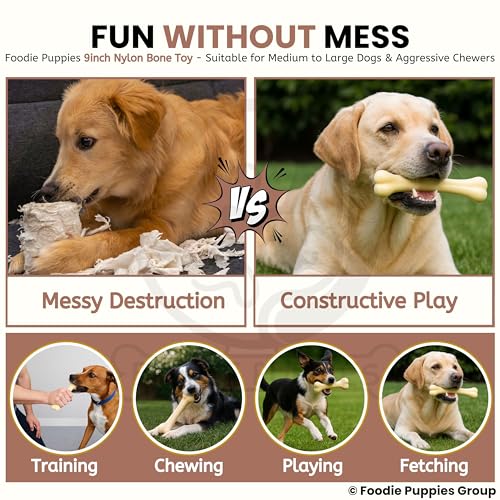 Image of Foodie Puppies Dog Nylon Hard Chew 9inch Bone Toy for Adult Dogs, Dogs Toy, Aggressive Chewers Teething Toys, Suitable for Large and Medium Dog (1 Piece) (9inch Bone)