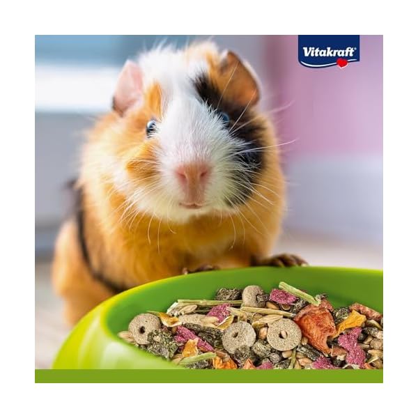Vitakraft Menu Vital, Hamster Futter, mit Gemüse, mit Nüssen, mit lebenswichtigen Vitaminen und Mineralien, ohne Zusatz von Zucker und Getreide (1x 1kg) – Bild 8
