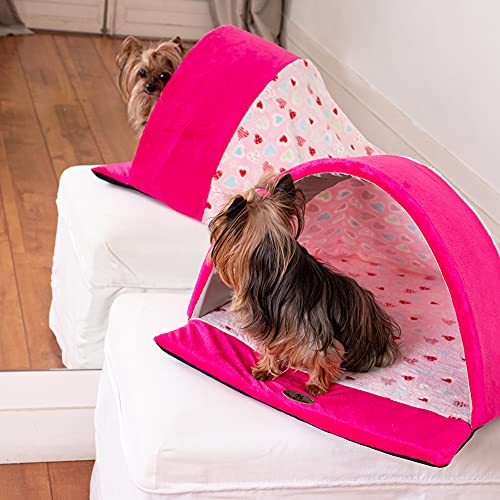 Pickorruchos Toca My Dream Heart Para Cães E Gatos Rosa - Tamanho - G