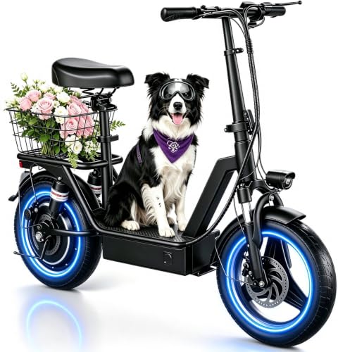 Fweork Electric Scooter with Seat