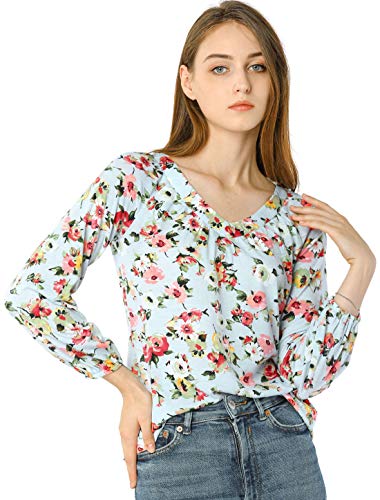 Allegra K Women's Casual V Neck Shirt Fall Floral Blouse Top Large Blue
