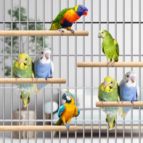 Image of Halloscume 6 Pcs Bird Stand Perch Toy Wooden Interactive Spinning Parakeet Perch 360 Degree Free Rotation Practical Bird Cage Accessories for Parakeets Parrots Cockatiels Budgies Lovebirds