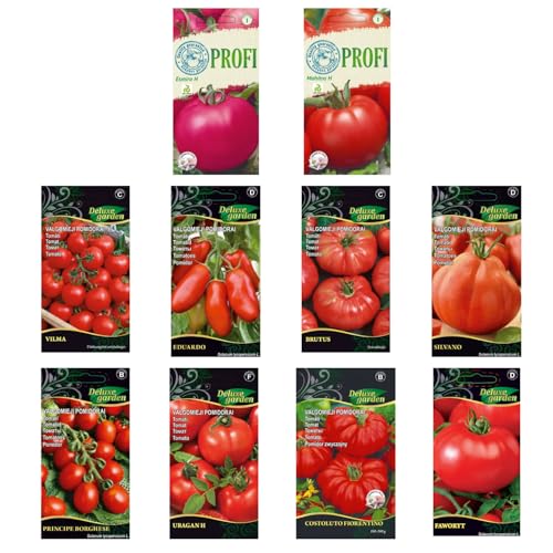 Nojus - Tomaten Samen Set – 20 Sorten – Verschiedene Tomatensamen Starter Kit - 20 Packen – Garten Samen Pflanzen Saatgut – Samen Gemüse Box 20 Sorten – Saatgut Box – Saat/Seeds