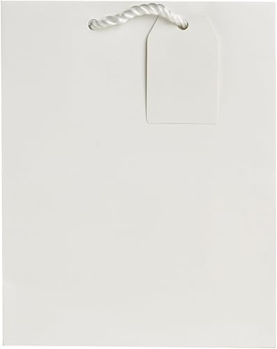 Miniatura 10 de Jillson Roberts 6 bolsas de regalo medianas de 8 x 10 x 4 pulgadas para todas las ocasiones, disponibles en 20 colores lisos, plateado mate