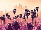 7X5ft Los Angeles Skyline Palm Trees Landscape Backdrop Photography Studio Background