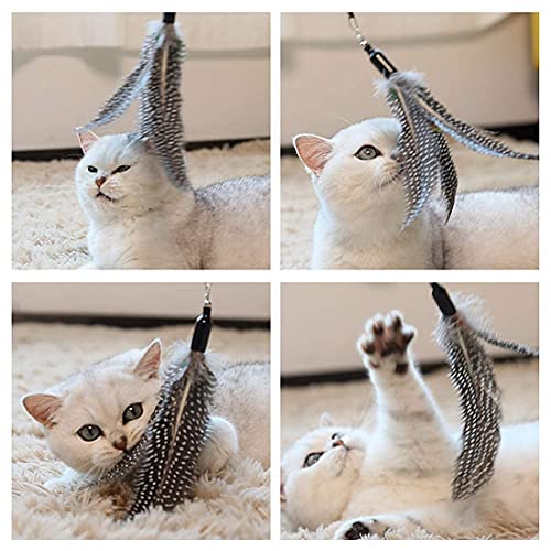 Image of Sunkizzrs Interactive Cat Feather Toy Set - Activity Toys for Kittens - Wand to Exercise Cats - Stick Toy for Indoor Persian Cats (Retractable Stick+Feather)