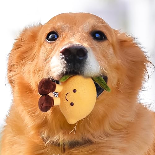 Proypiax Hundespielzeug Plüsch,Interaktive Frucht Hundekauspielzeuge mit Quietschfunktion | Interaktives Stopftier Für Mittelgroße Bis Große Hunde Welpen Geschenk Zu Weihnachten Geburtstag Zuhause