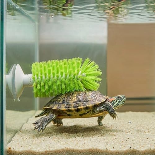 Image of 2-in-1 Turtle Brush and Feeder Ball Set, Turtle Tank Accessories