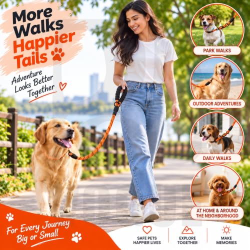 Image of PetVogue FT Nylon Rope Dog Leash, Heavy Duty Training & Walking Lead for Small, Medium & Large Dogs, Reflective Pet Walking Cord with Comfortable Padded Handle & Strong Metal Clip (Orange)