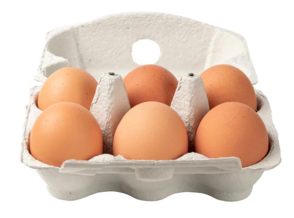 x6 Half Dozen Fake Novelty Rubber Eggs in Egg Box