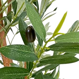 Artificialtreeinmodernplanterfakeolivesilktreeforindoorandoutdoorhomedecoration68overalltallplantpotplustree Urban Country Home Decor Artificial tree in modern planter fake olive silk tree for indoor and outdoor home decoration 68 overall tall plant pot plus tree urban country home decor