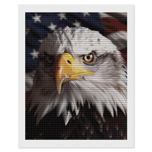 Kit peinture diamant adultes drapeau americain aigle strass ronds