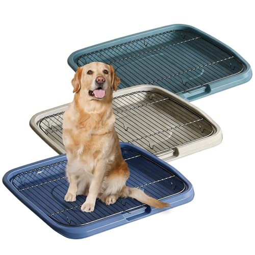 Image of MAK7 Online Dog Poop Training Tray with Metal Mesh Grid, Indoor Pet Waste Management System, Size 65cm X 50cm, Removable Grid for Easy Cleaning ASORTED Colors (Blue /Green /Grey)