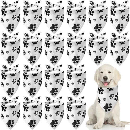 Sanwuta 20pbN Ճvg po_i oN pOp`XJ[t ru J[`[t ybg o_i Zbg    q L ybg RX`[ ANZT[ fR[V