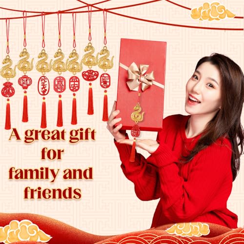 24 Pcs Chinese New Year Decor Decorations Bulk Lunar New Year 2025 Red Tassel Ornaments with Wealth Success Good Luck Hanging Decorations for Gifts Home Car Decor - Image 8