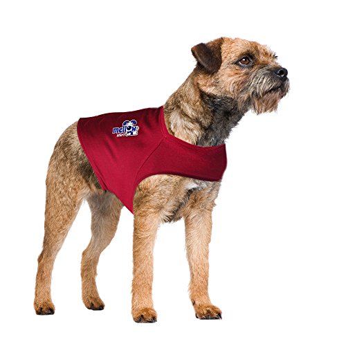 Find The Best Thunder Shirts For Dogs Reviews & Comparison Katynel