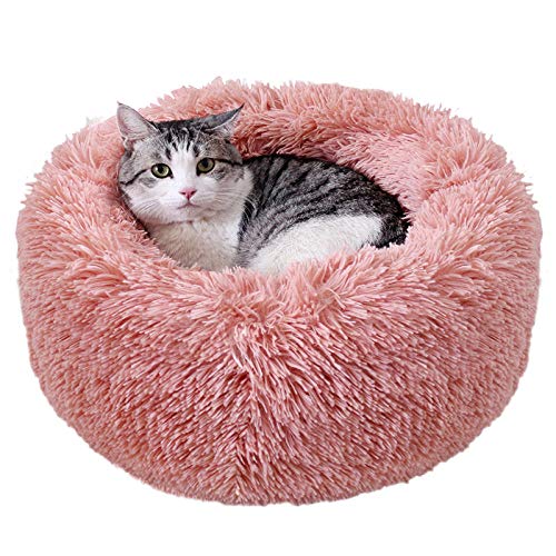 Dolt Betu Tiszta Csorgo Panier Chat Amazon Aschweitzer Com