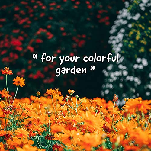 Turfmaster Urban Weed - Trockenspray, 1L Eco-Sustainable zur natürlichen Entfernung von Unkraut und unerwünschter Vegetation von Rasenflächen, Gärten, Gemüsegärten, Feldern, Büschen etc.