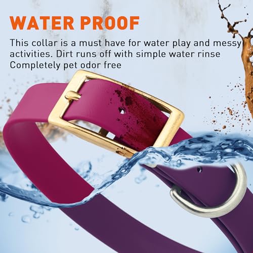 Image of Viper Biothane Heavy Duty Waterproof Dog Collar Strong Coated Nylon Webbing w /Solid Brass Hardware Odor-Proof Easy to Clean High Performance Fits Small Medium or Large Dogs, Magenta Pink