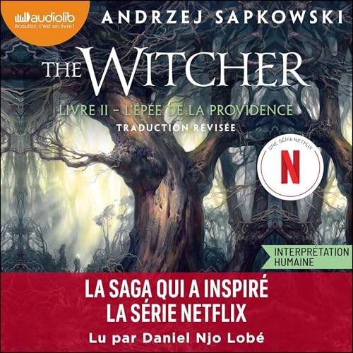 L'Épée de la Providence Audiolivro Por Andrzej Sapkowski, Alexandre Dayet - traducteur capa