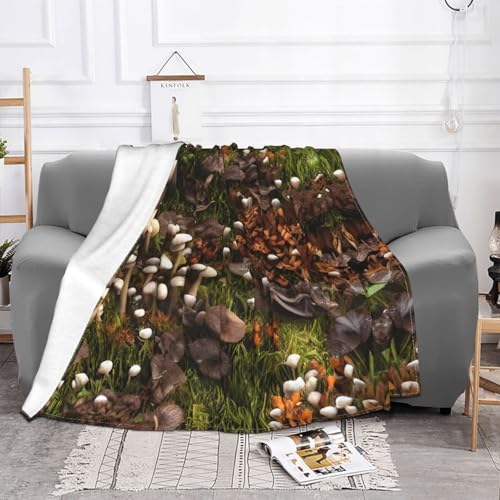 Couverture de canapé peluche douce double microfibre moelleuse toutes saisons