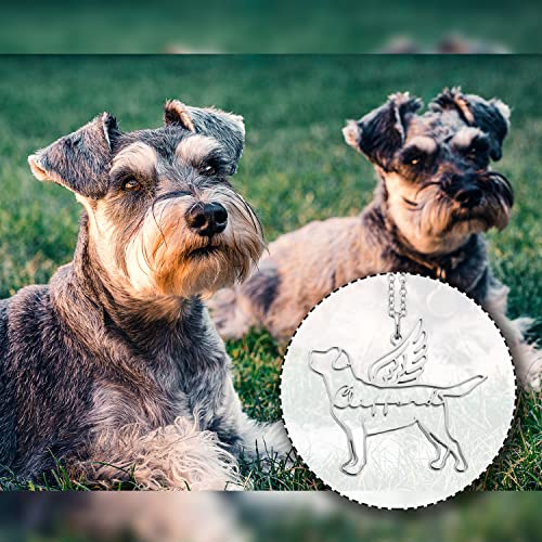 Personalized Dog Cat Pet Necklace For Women, Personalized Dog Gifts, Personalized Pet Memorial Gifts, Personalized Cat Memorial Gifts, Birthday Gift Christmas Gift For Women (Style 2) #TOP3