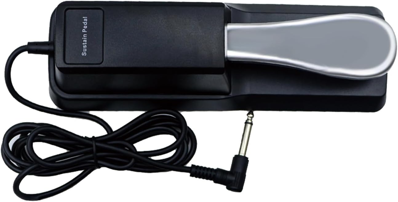 Piano Sustain Pedal Damper Pedal Polarity Switch Sustain