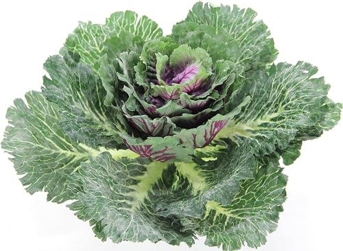 Admired By Nature 1pc Faux Cabbage Artificial Vegetables Realistic Fake Food Plant Props Artificial Decorative Cabbage Plant For Home Decoration Wedding Kitchen Decoration Fake Food For Display Green