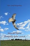 turmfalkenkasten  Mica der kleine Turmfalke kehrt zurück